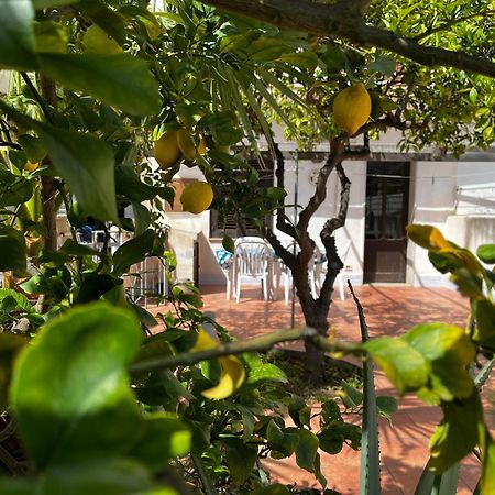 산비토로카포 Casa Ciccio 아파트 외부 사진