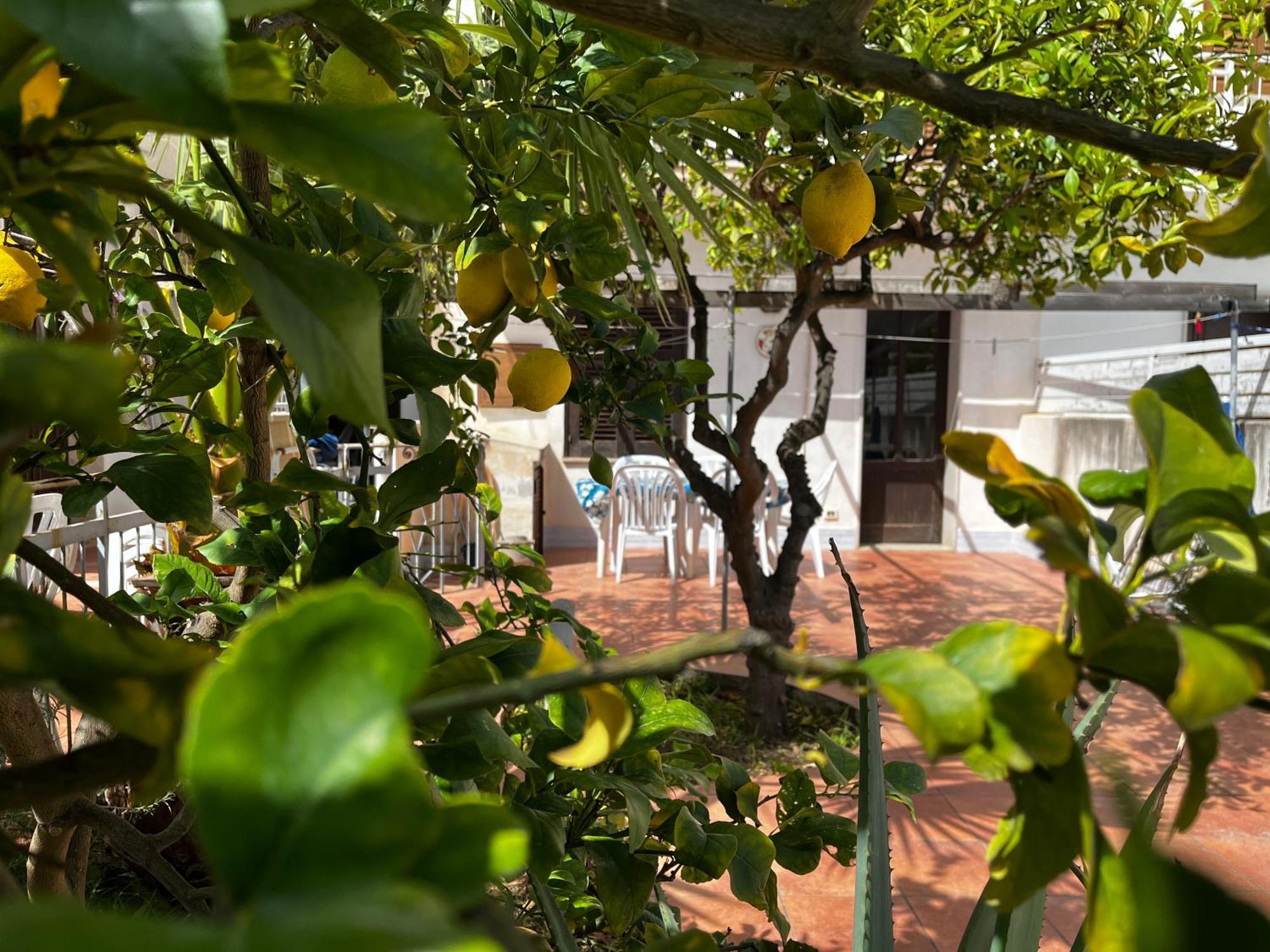 산비토로카포 Casa Ciccio 아파트 외부 사진